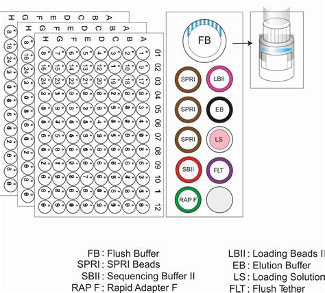 What are the features of the Rapid Barcoding Kit 96 (SQK .